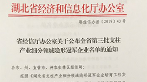 开云体育-开云(中国)一站式服务官方网站
被认定为“湖北省支柱产业细分领域隐形冠军示范企业”